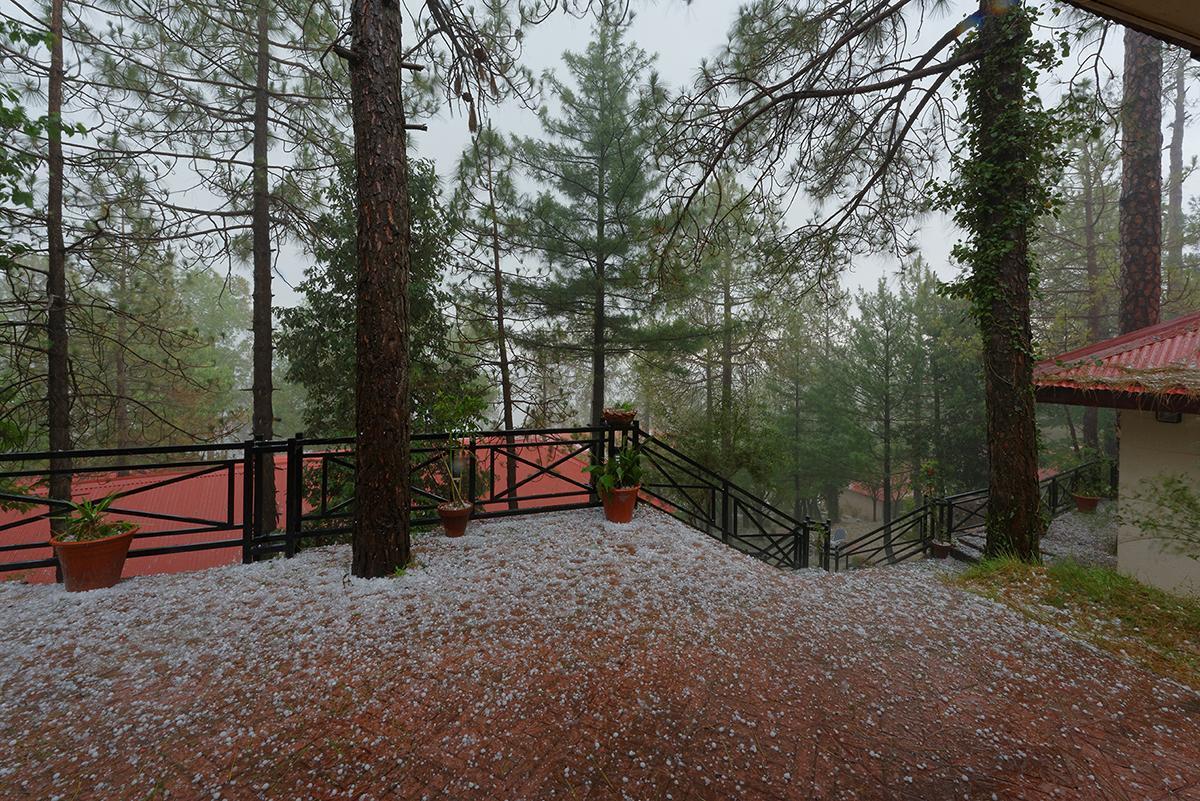 Arcadian Blue Pines Hotel Murree Eksteriør billede