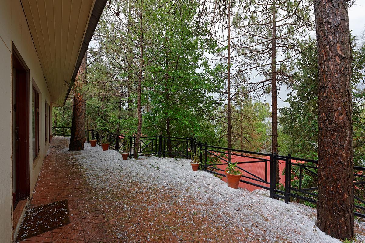 Arcadian Blue Pines Hotel Murree Eksteriør billede